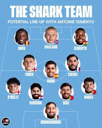 小牛队的凯里·欧文前交叉韧带撕裂手术成功